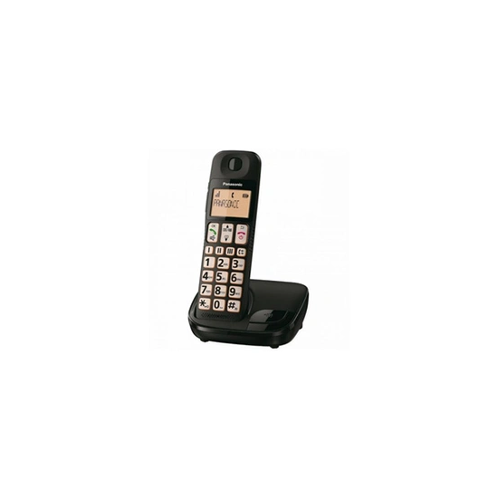 KX-TGE310SP - Téléphone sans fil Panasonic