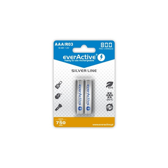 Pack de 2 batteries Téléphone fixe compatible avec SIEMENS GIGA - Everactive