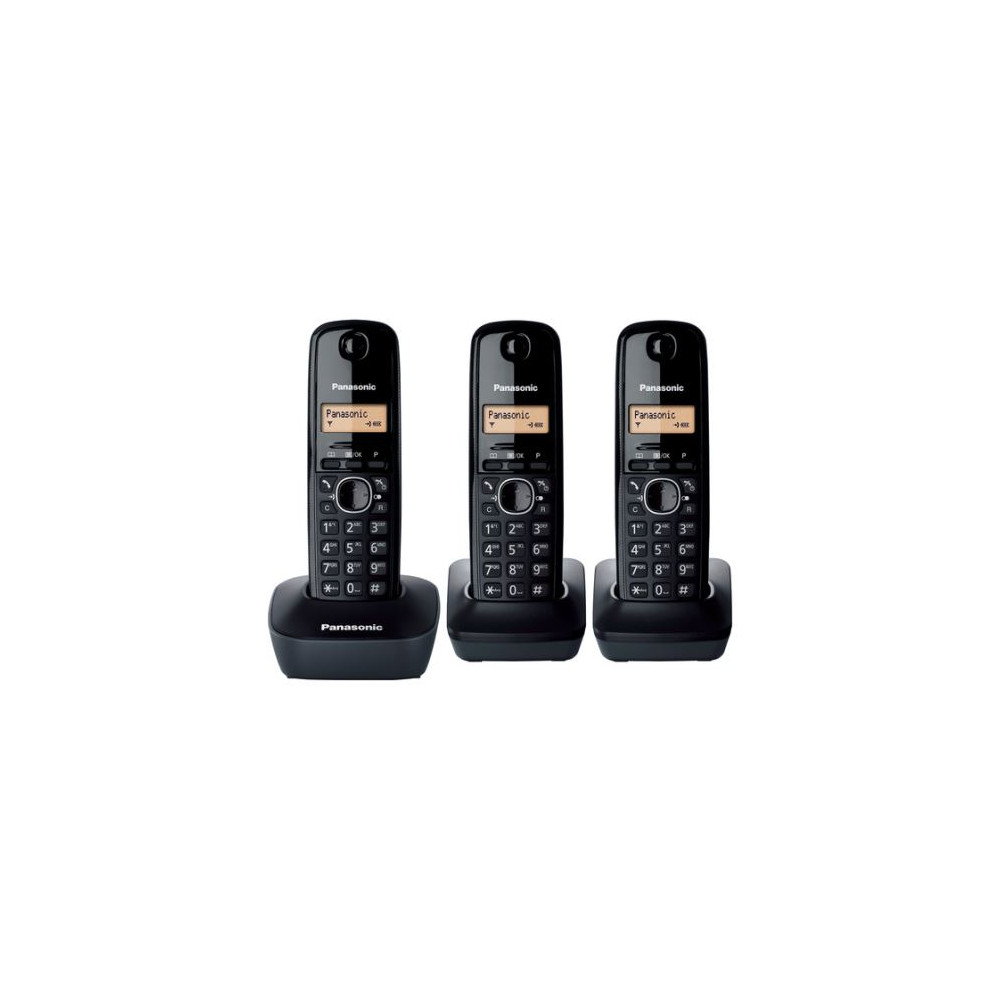 Panasonic KX-TG1613 - Téléphone sans fil DECT