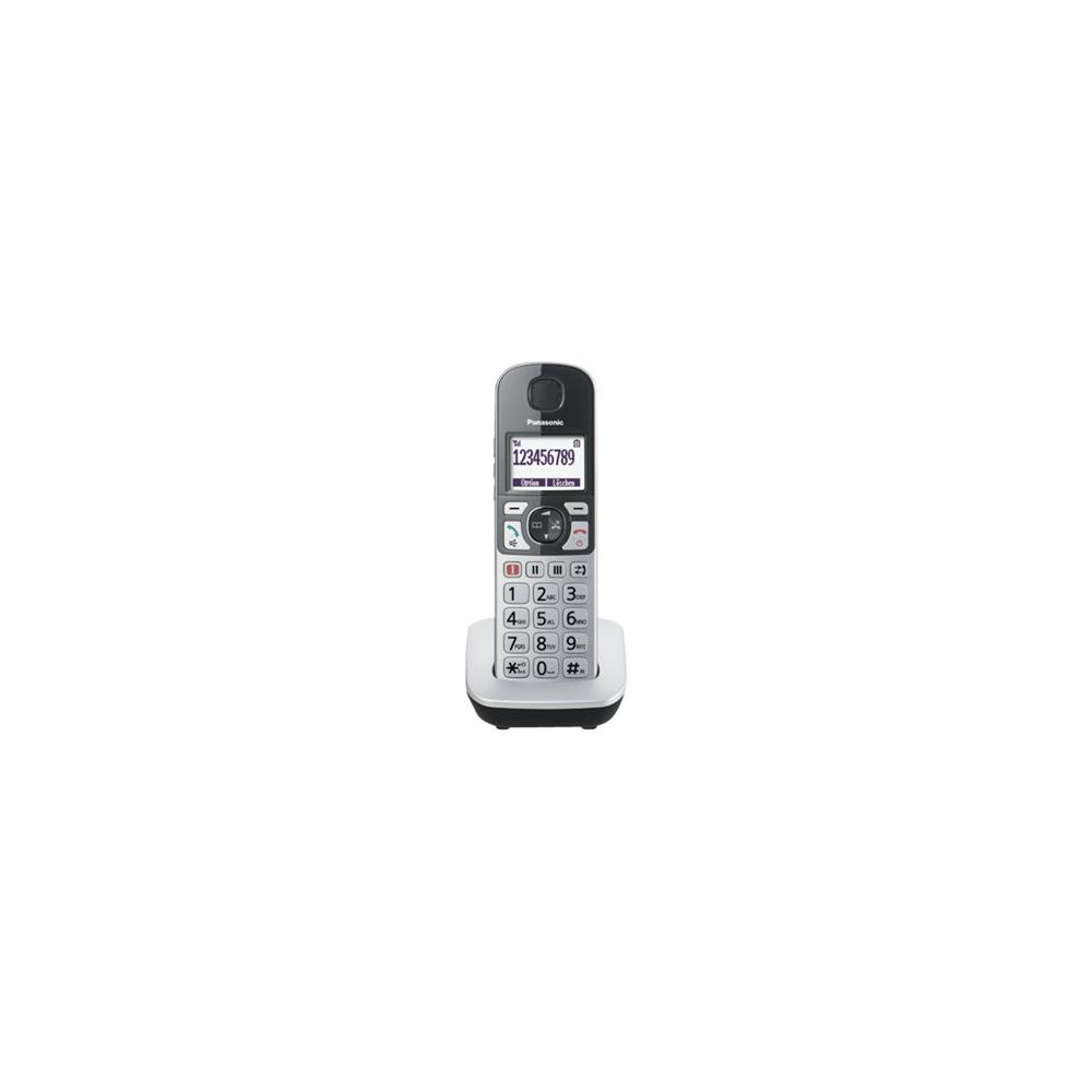 Panasonic KX-TGQ500 - Téléphone sans fil DECTGAP