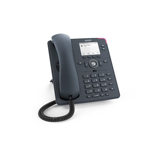 Téléphone IP Snom D150 Gris - 2 Lignes TFT