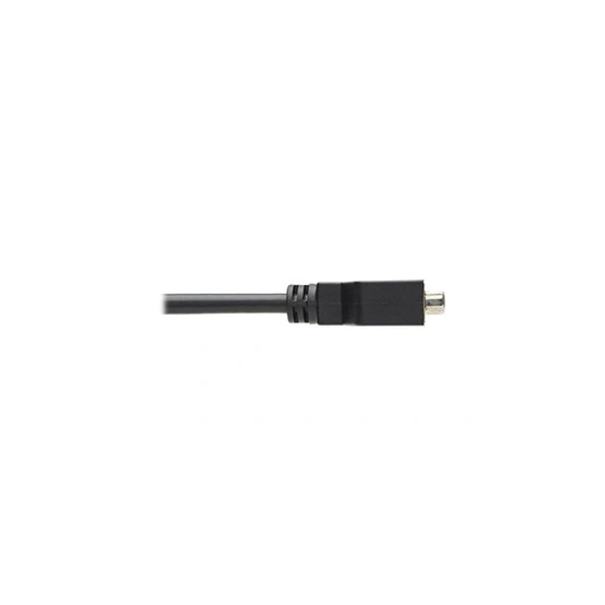 Tripp Lite DisplayPort to DVI-I Adapter Cable - 6 in.