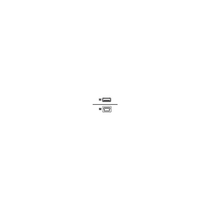 - Câble USB - USB (M) pour mini USB type B (M) - 1.83 m - pour Cisco 1921, 1921 4-pair, 1921 ADSL2+, 1941; Catalyst 2960, 2960G,