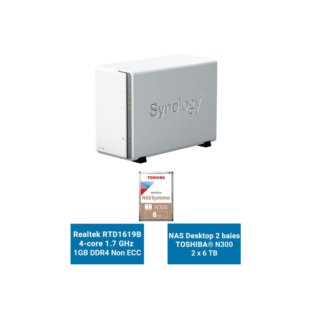 Synology DiskStation DS223J Serveur NAS Toshiba N300 12To (2x6To)
