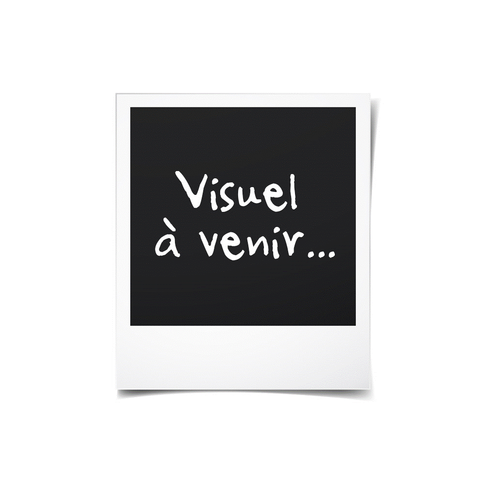 Prolabs SFP+ Copper Twinax Cable 10m pour Cisco