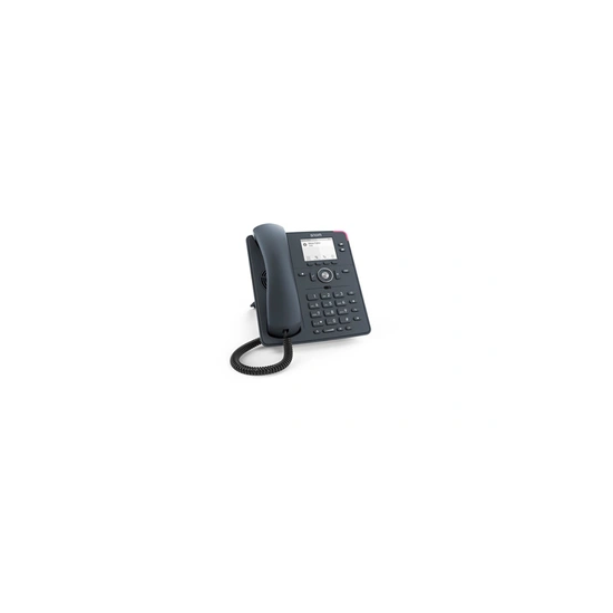 Téléphone IP D140 Gris 2 lignes TFT