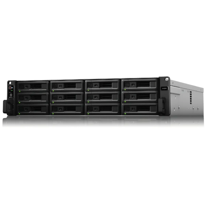 Serveur NAS Entreprise SA3400 12 baies SAS