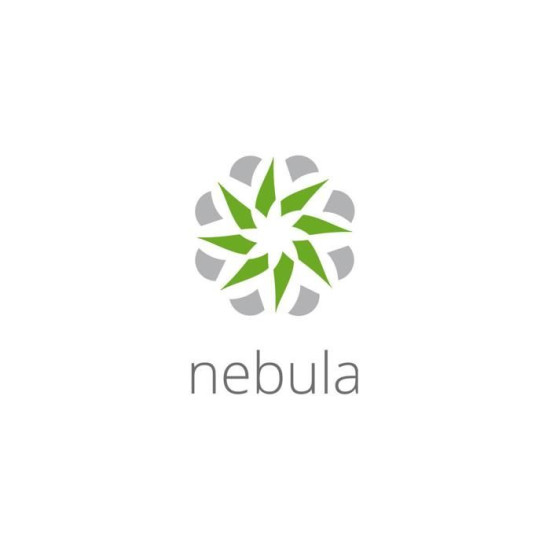 Logiciel - ZYXEL - NEBULA PRO PACK - 1 licence - 1 an - A télécharger