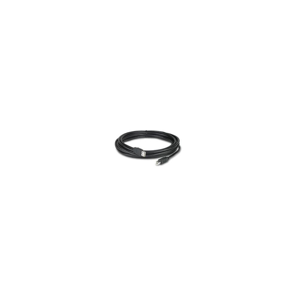 Apc - Netbotz Usb Latching Cable, Lszh, 5m Cable Usb 5,00 M Usb A Usb B Black