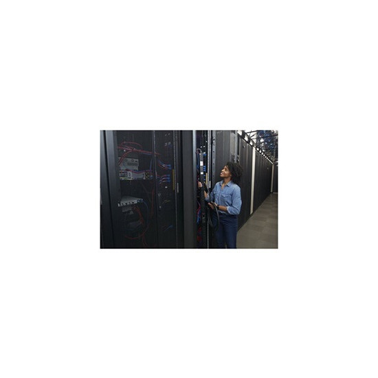 Rack PDU 9000 commuté APDU9959EU3 - Unité de distribution secteur (rack-montable) - CA 220/240 V - 3.7 kW - 3700 VA - Ethernet 1