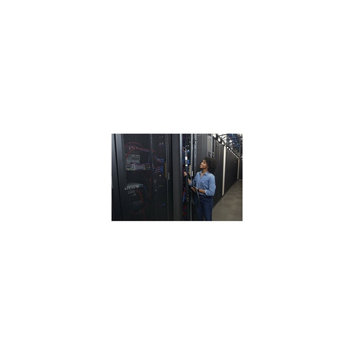 Rack PDU 9000 commuté APDU9959EU3 - Unité de distribution secteur (rack-montable) - CA 220/240 V - 3.7 kW - 3700 VA - Ethernet 1