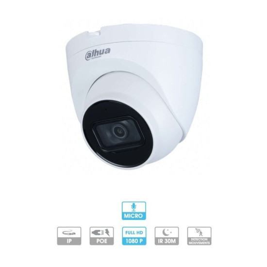Mini caméra dôme 2mp ip poe - Dahua
