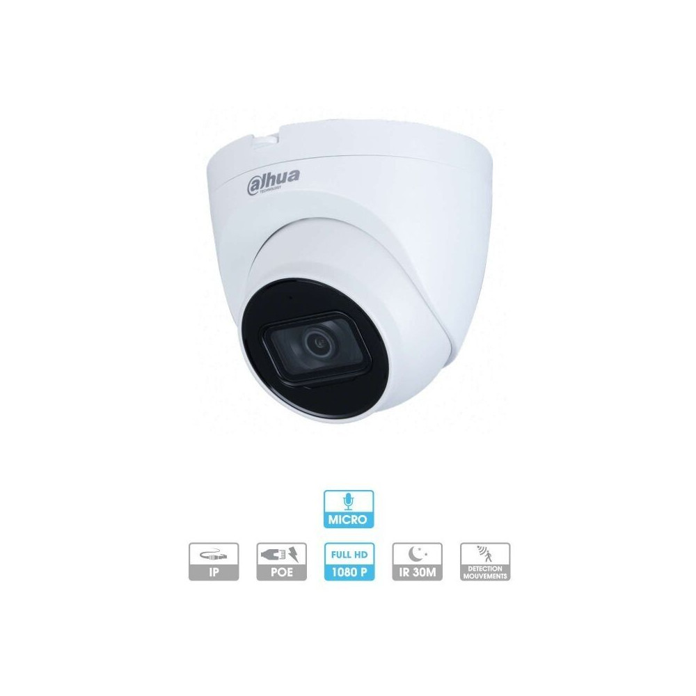 Mini caméra dôme 2mp ip poe - Dahua