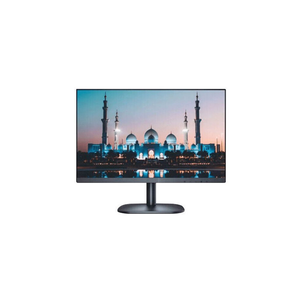 DAHUA ECRAN ORDINATEUR 24 LED - DHI-LM24-F200