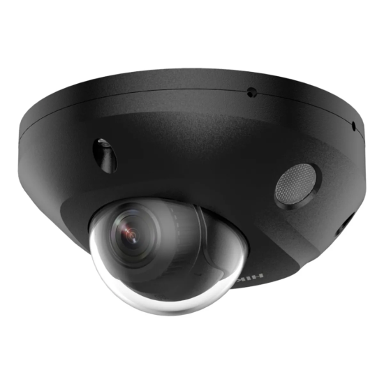Caméra de Sécurité IP Hikvision Pro Dome PoE 4MP 2.8mm/4mm Noire