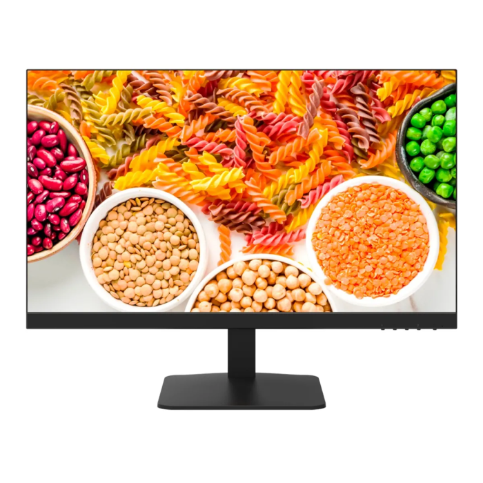 Moniteur HIKVISION DS-D5024F2-1P2