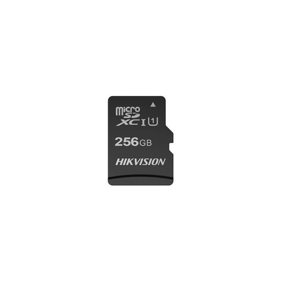 Carte Mémoire 256 Go microSD C10