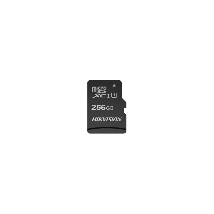Carte Mémoire 256 Go microSD C10