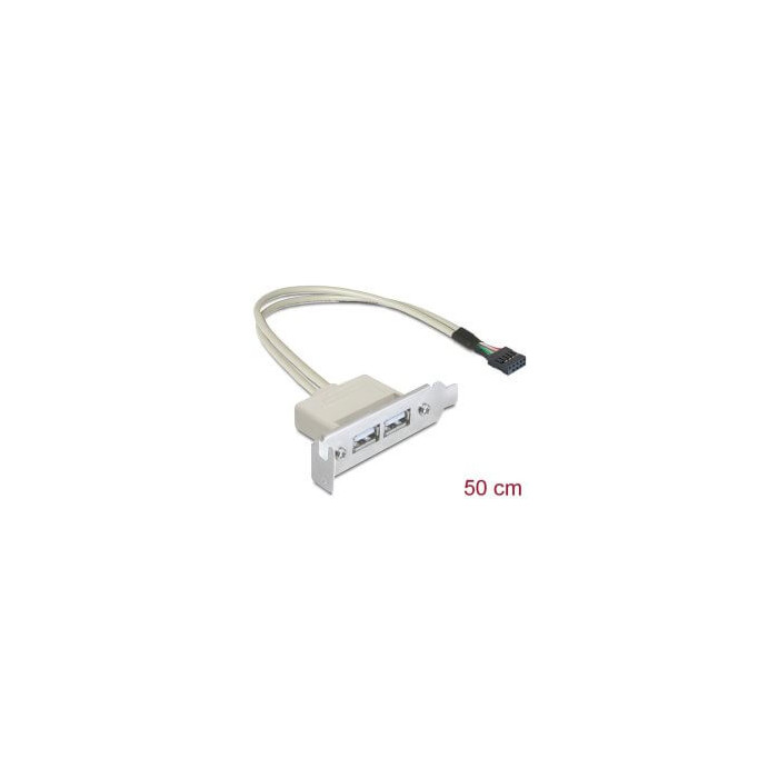 Adaptateur slot USB 2.0 2 ports A Low Profile
