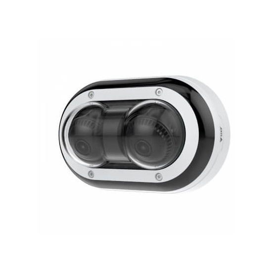 Caméra dôme panoramique P4705-PLVE