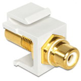 Embase Keystone RCA femelle RCA fem. blanc gold