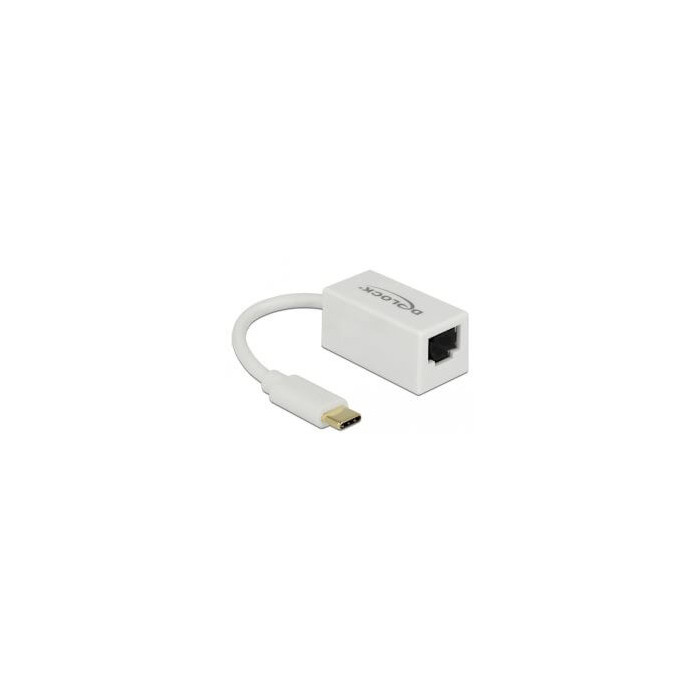 Adaptateur ethernet USB Type C 3.1 Giga blanc