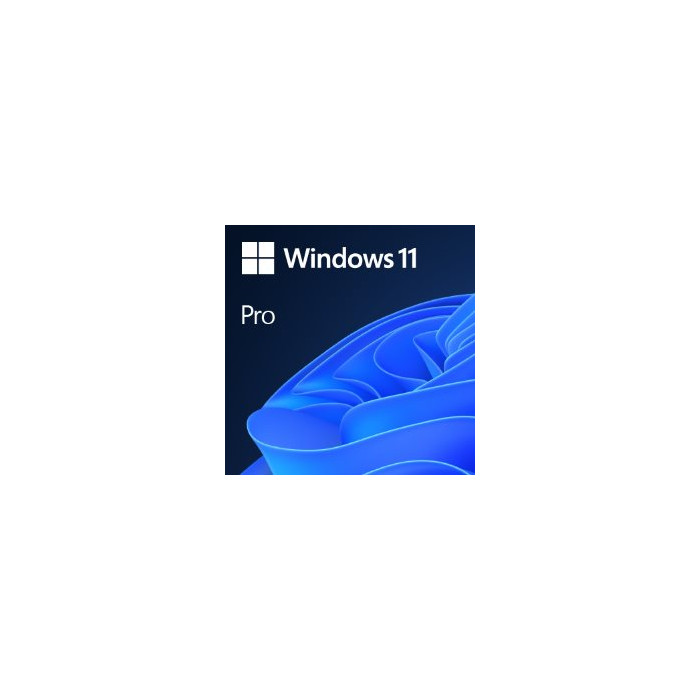 Windows 11 Pro OEM 64 bits DVD