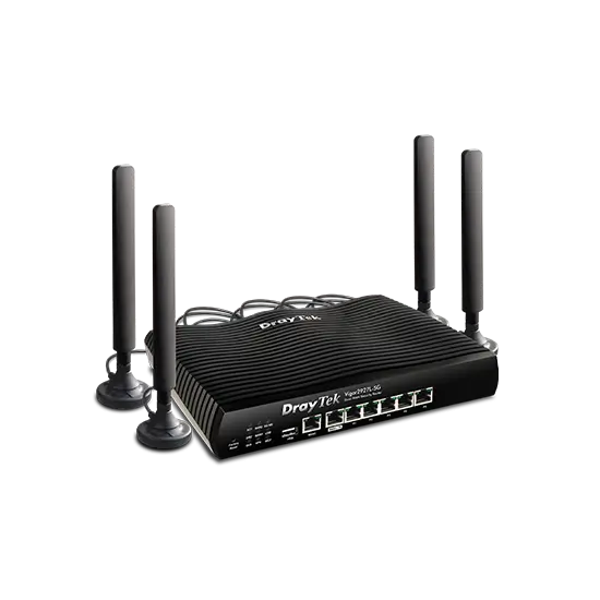 Routeur Dual Wan LTE Giga 50 VPN 5G