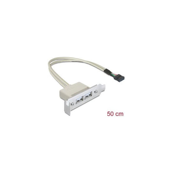 Adaptateur slot USB 2.0 2 ports A Low Profile