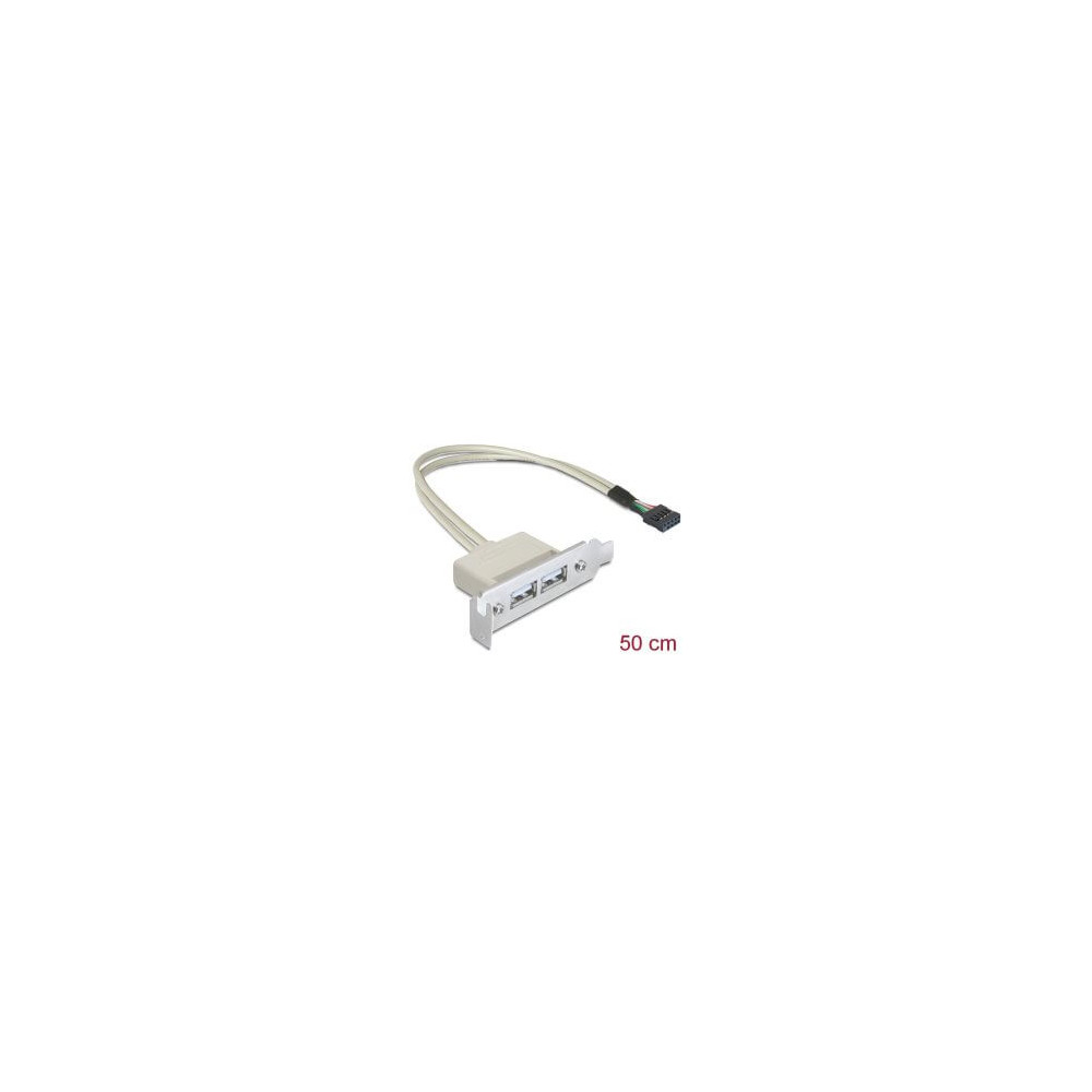 Adaptateur slot USB 2.0 2 ports A Low Profile