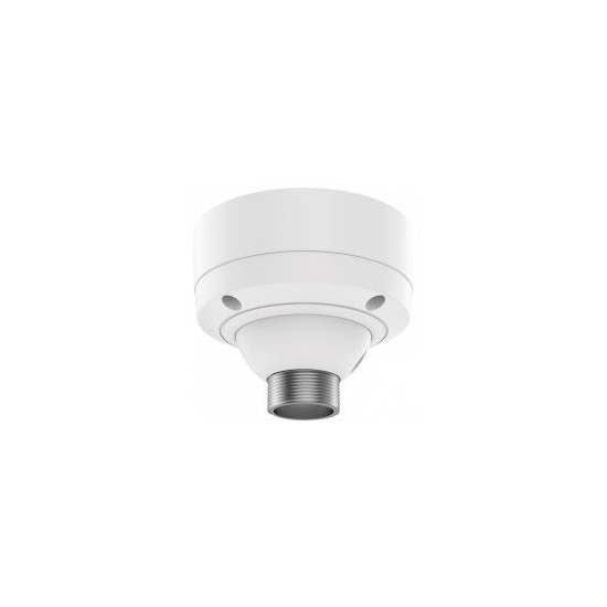 Fixation au plafond AXIS T91B51