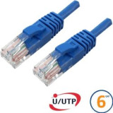 Cordon RJ45 Cat 6a F/FTP Primacy LSZH 10m bleu