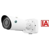 Mini dôme extérieur DM5EF - 5 Mpx IR - 2,8 mm - IA