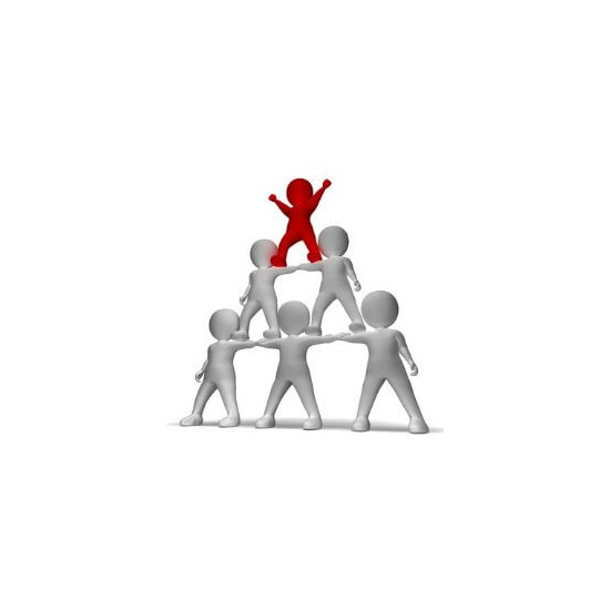 Licence 1 caméra hiérarchique