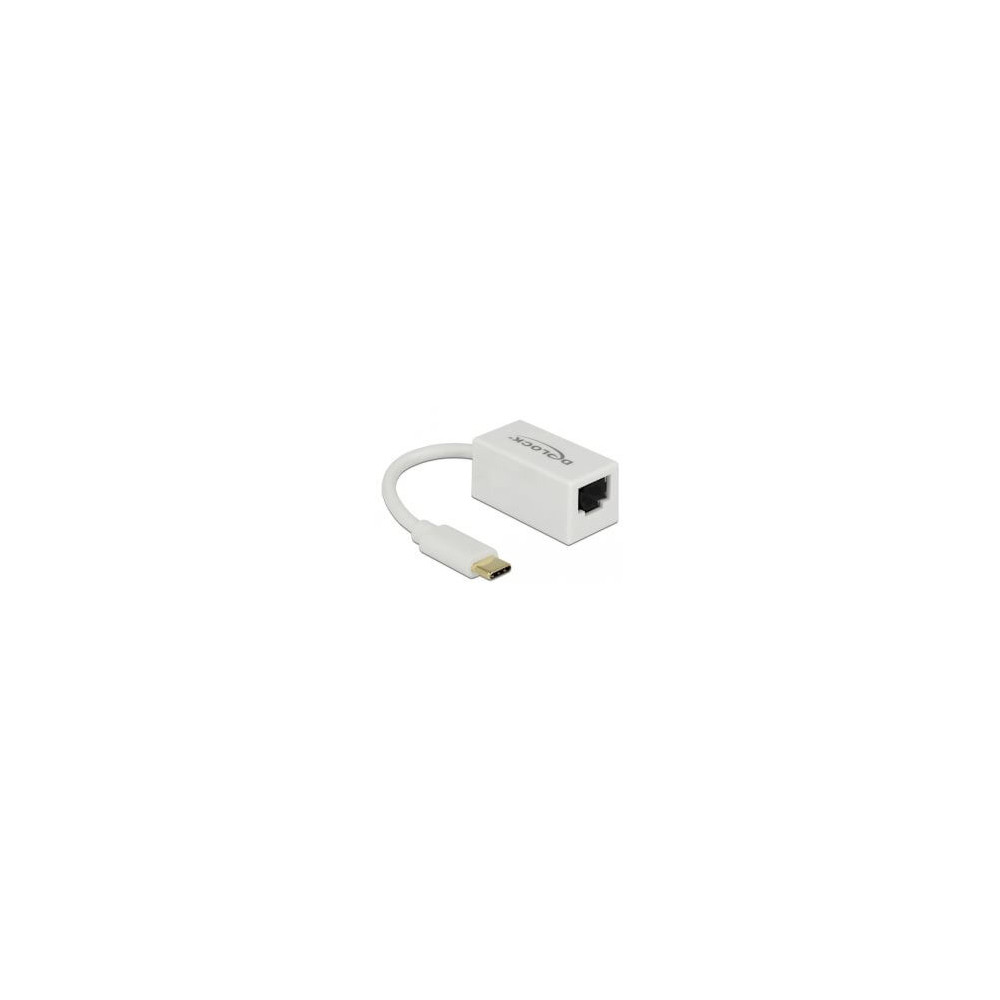 Adaptateur ethernet USB Type C 3.1 Giga blanc