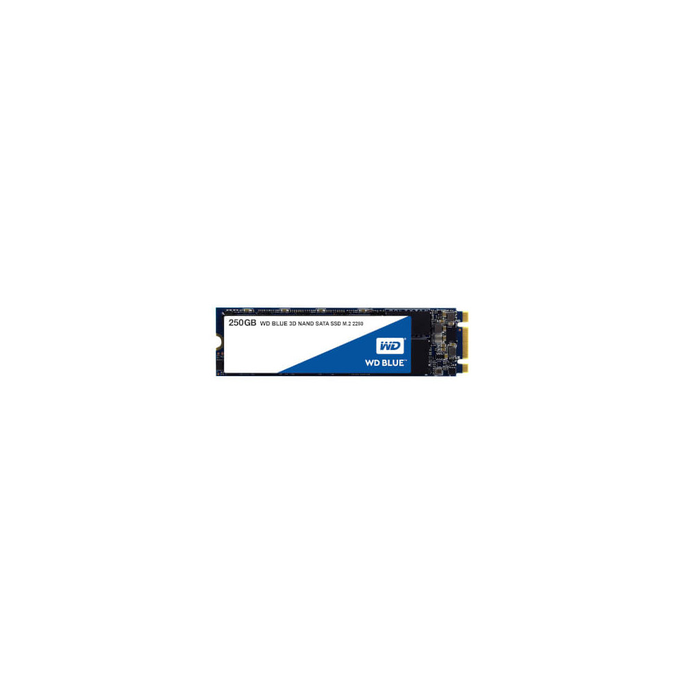 SSD WD Blue 3D NAND 250 Go Format M.2 2280
