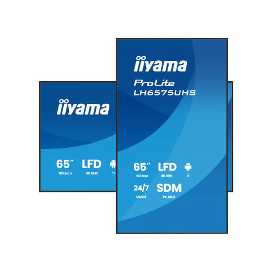 Moniteur 65'' IPS 4K UHD 8ms Android 24/7 HP