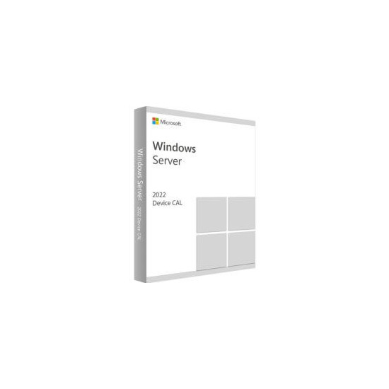 Windows Server CAL 2022 OEI 1 device