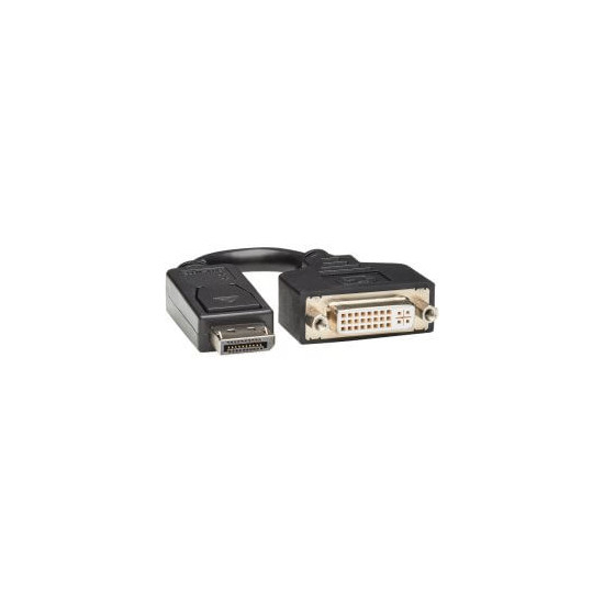 Câble adapta. DisplayPort M vers DVI-I F (15,2 cm)