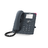 Téléphone IP D140 Gris 2 lignes TFT - Snom