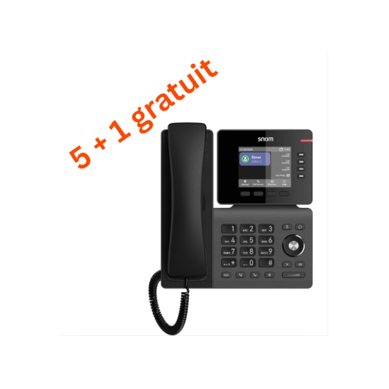 Téléphone SIP D810W pack 5+1 gratuit