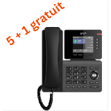 Téléphone SIP D810W pack 5+1 gratuit