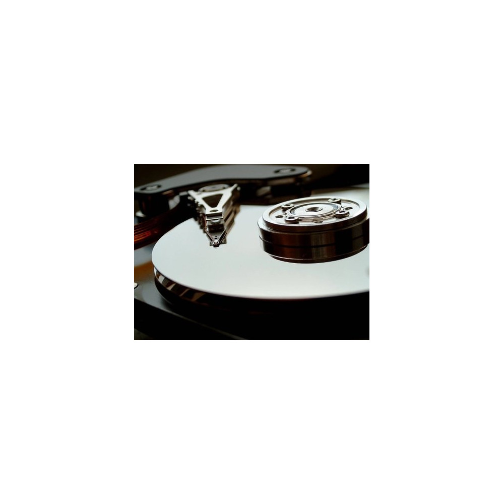 HDD WD ULTRASTAR DC HC590 SAS 26TB