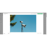 Videosurveillance
