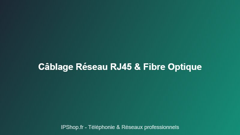 Câblage réseau d'entreprise : RJ45, fibre optique et baies de brassage